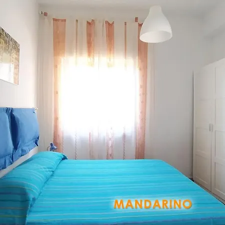 Vallenoci * 圣梅纳伊欧