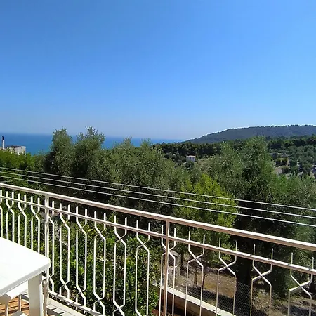 Vallenoci San Menaio