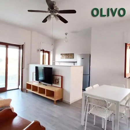 Vallenoci San Menaio