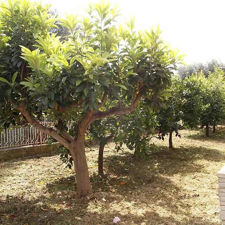 Appartement Vallenoci San Menaio