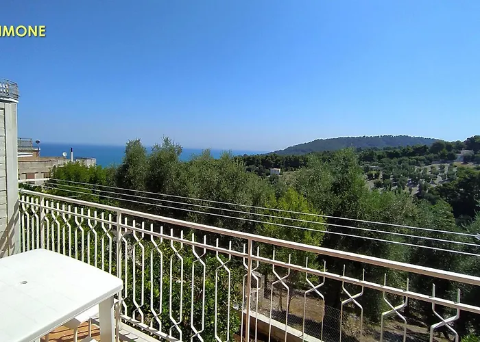 Vallenoci San Menaio